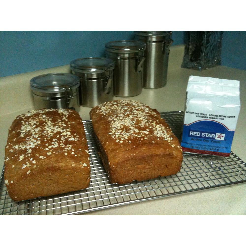 Lesaffre Red Star Bakers Active Dry Yeast 1 lb. Vacuum Pack