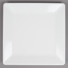 Tablecraft Frostone Melamine Dinnerware
