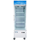 1 Section Glass Door Merchandising Freezers