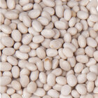 Dried Beans