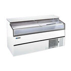 Horizontal Frozen Food Merchandisers