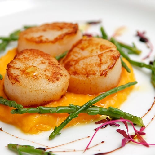 plate with three scallops on an orange colored puree and thin asparagus