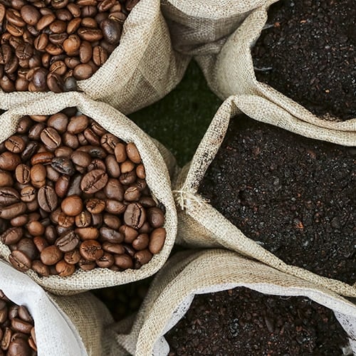 How to Store Coffee Grounds