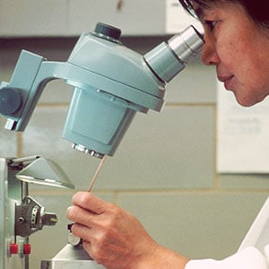 Inspector look through microscope to certify for NSF