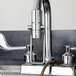 Regency Hands Free Faucet Wand Main Thumbnail 1