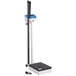 AvaWeigh MSB600 600 lb. Digital BMI Physicians Scale with Height Rod Main Thumbnail 2