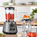 AvaMix BL2VS482J 2 hp Commercial Blender with Toggle Control, Variable Speed, and Two 48 oz. Tritan Containers Main Thumbnail 1