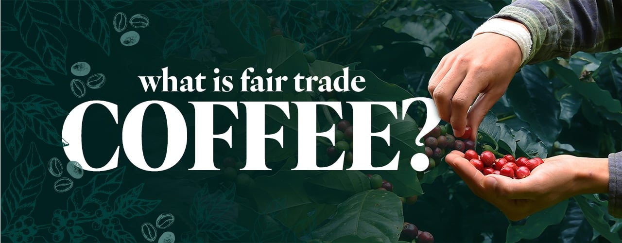 What is Fair Trade? Certifications & More Explained