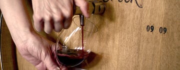 How to Become a Sommelier