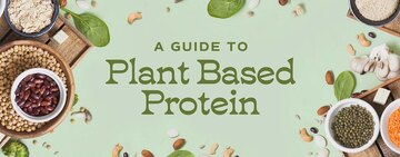 Meat Substitutes: A Guide to Plant Based Protein 