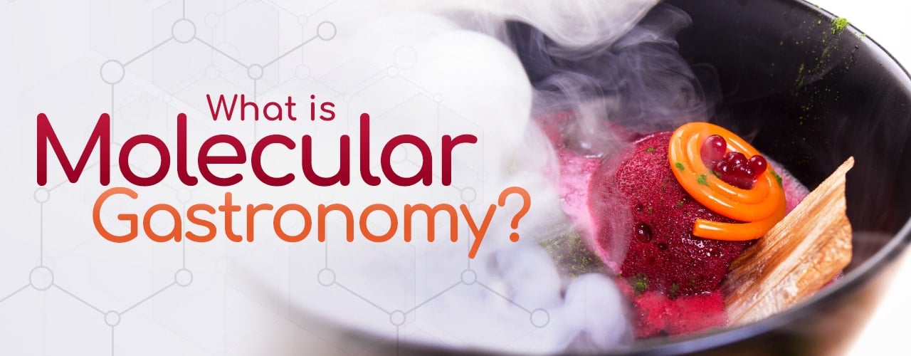What is Molecular Gastronomy?