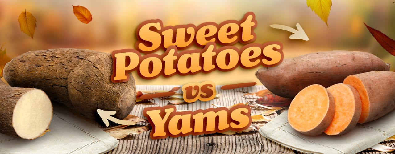 types of yams