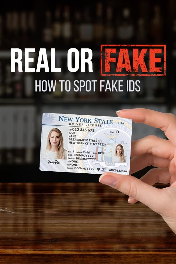 How to Spot a Fake I.D. Infographic - Drivers License Guide