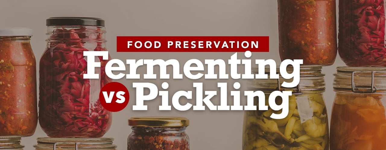 Fermenting vs Pickling How They Work and FAQs