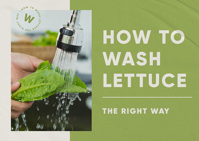 How to Wash Lettuce With or Without Salad Spinner