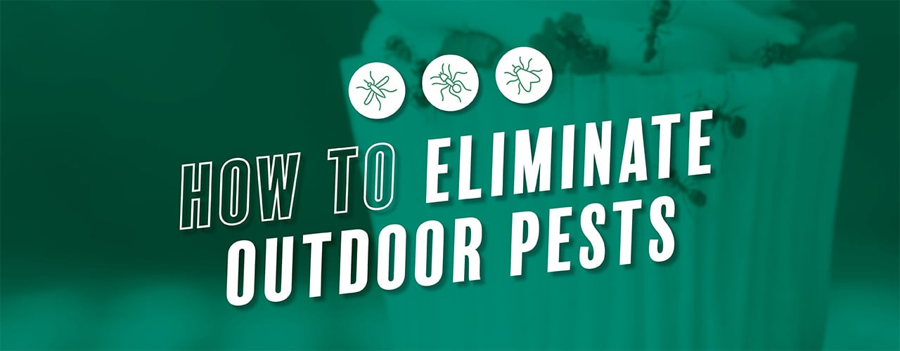 Pest-Free Outdoor Dining
