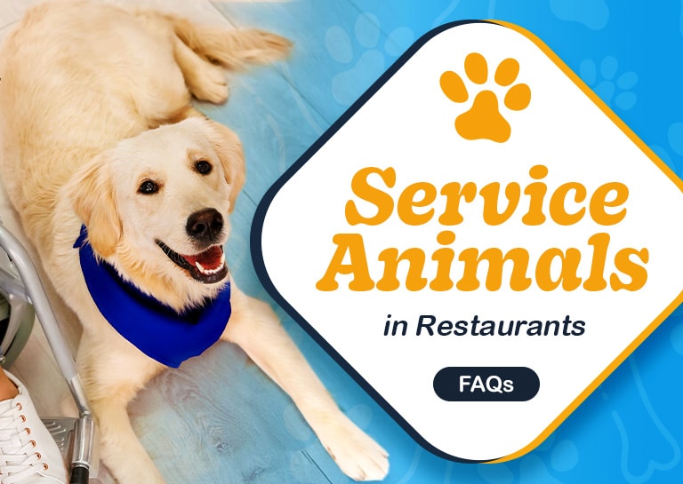 are service dogs allowed in restaurants
