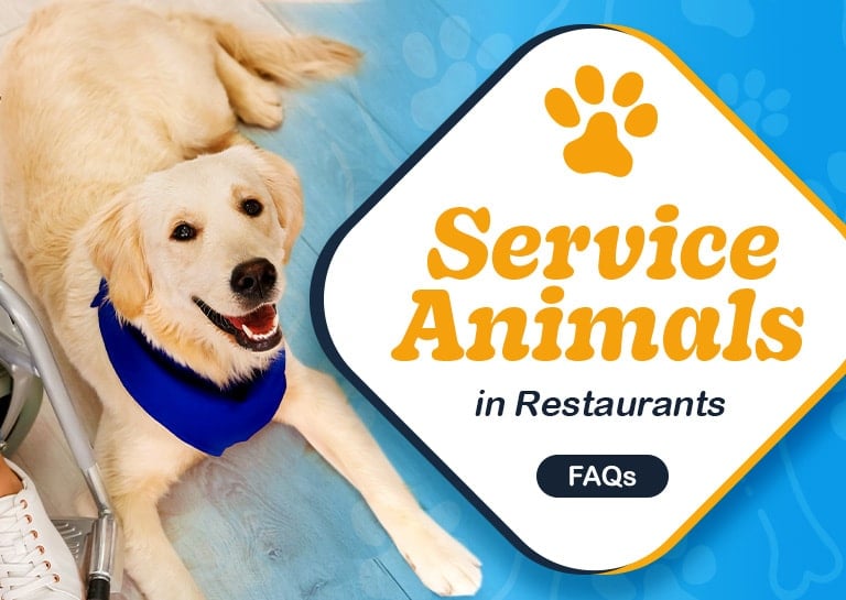 Food places hotsell that allow dogs