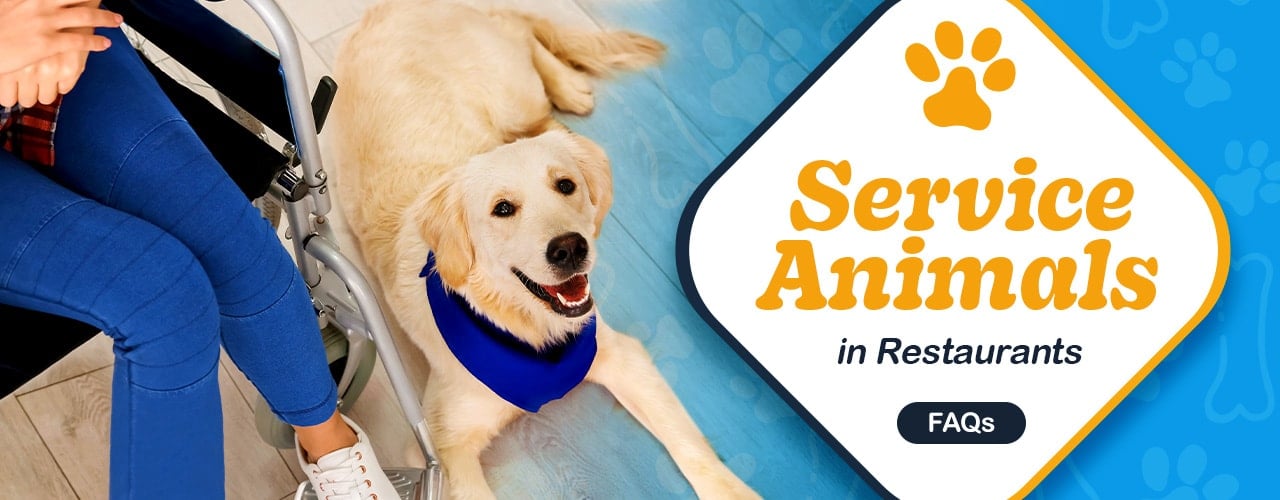 Service Animals in Restaurants: Laws, Requirements, & FAQs