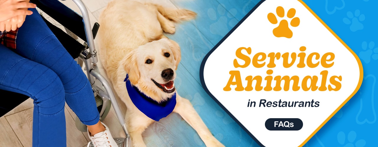 Service Animals In Restaurants Laws Requirements FAQs