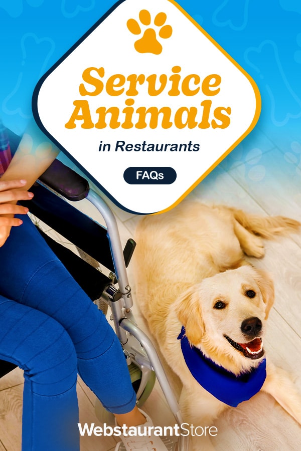 are companion dogs allowed in restaurants