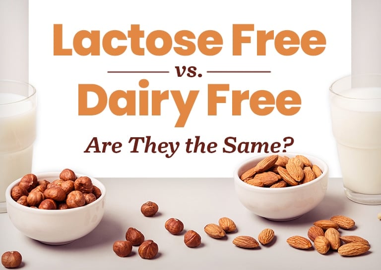 The Differences Between Lactose-Free and Dairy-Free