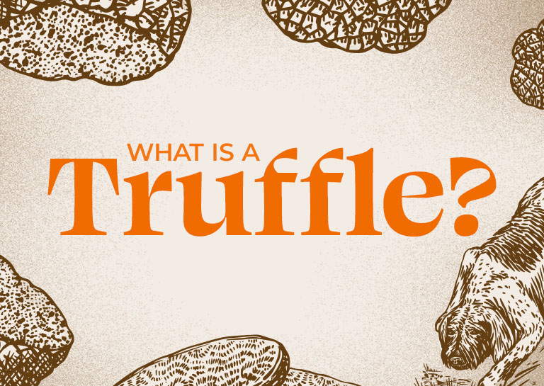 What Are Truffles & Why Exactly Do They Cost So Much?