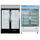 2 Section Glass Door Merchandising Freezers