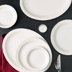 Core Narrow Rim Ivory (American White) China Dinnerware