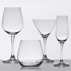 Core Radiance Glasses