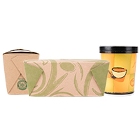 Paper Take-Out Boxes, Retail Containers, and Snack Boxes