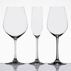 Salute Spiegelau Glasses