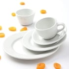 Tuxton Alaska White China Dinnerware