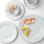 Tuxton Chicago White China Dinnerware