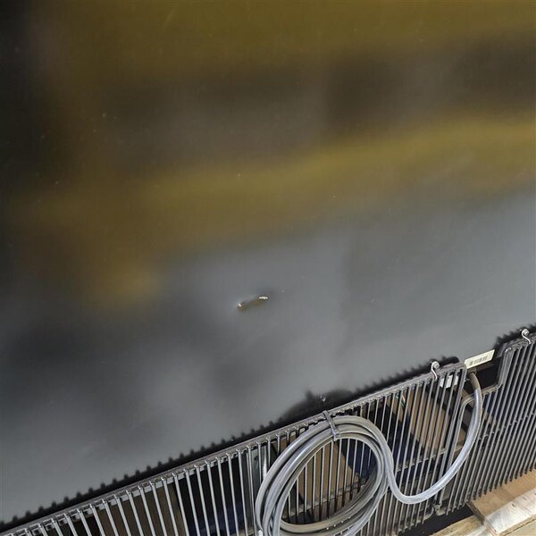 Scratch and Dent True GDM-72-HC~TSL01 78 1/8" Black Refrigerated Glass Door Merchandiser with LED Lighting