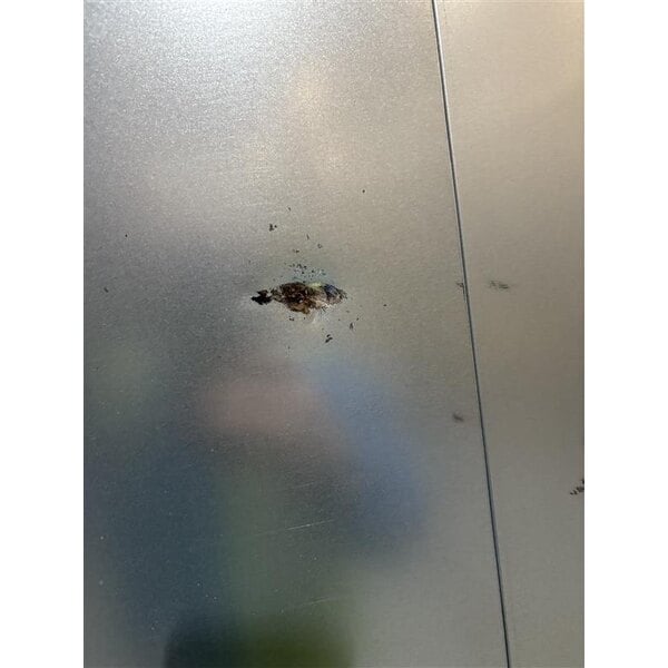 Scratch and Dent Avantco SS-2F-HC 54" Stainless Steel Two Section Solid Door Reach-In Freezer