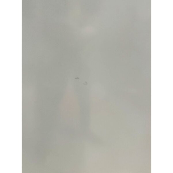 Scratch and Dent Arctic Air AWF25 White Single Door Reach In Freezer - 25 cu. ft.