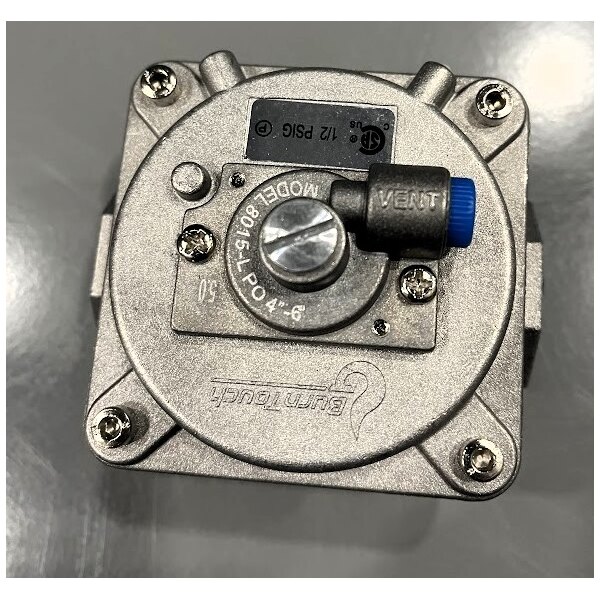 Scratch and Dent Wolf by Vulcan WSPR1-NAT Natural Gas Stock Pot Range - 110,000 BTU