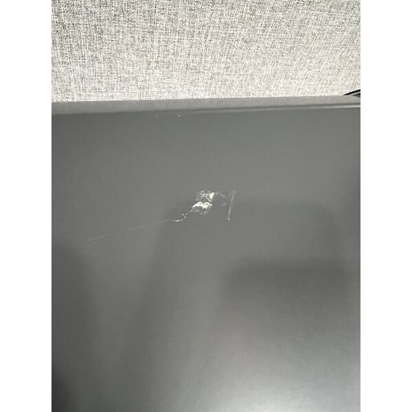 Scratch and Dent Rinnai SENSEI CXP199iN Natural Gas / Liquid Propane Wall-Mounted Indoor / Outdoor Tankless Water Heater - 120V, 199,000 BTU, 11.0 GPM