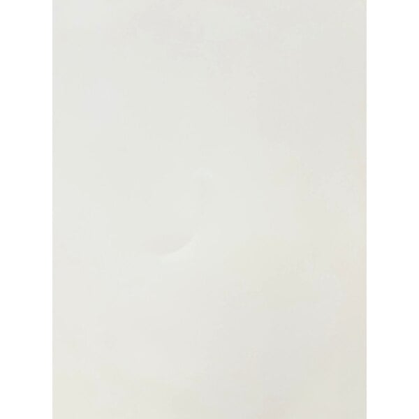 Scratch and Dent Avantco GD-ICE-49F 53" White Indoor Glass Door Ice Merchandiser