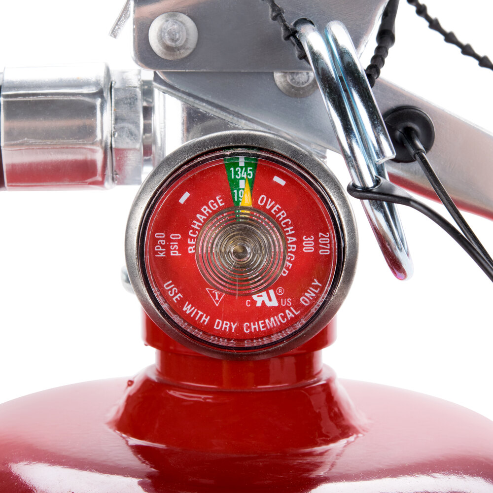 Buckeye 10 lb. ABC Fire Extinguisher Rechargeable Tagged UL Rating