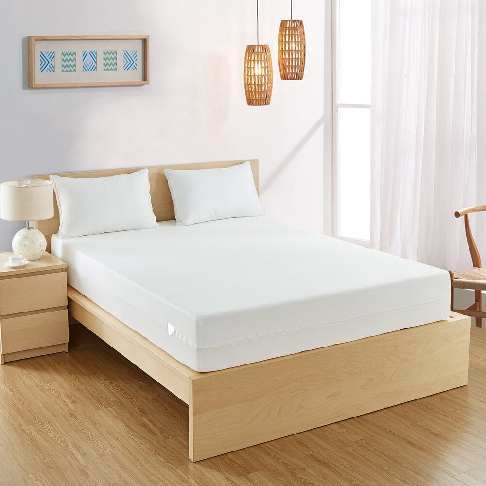 bed bug proof mattress
