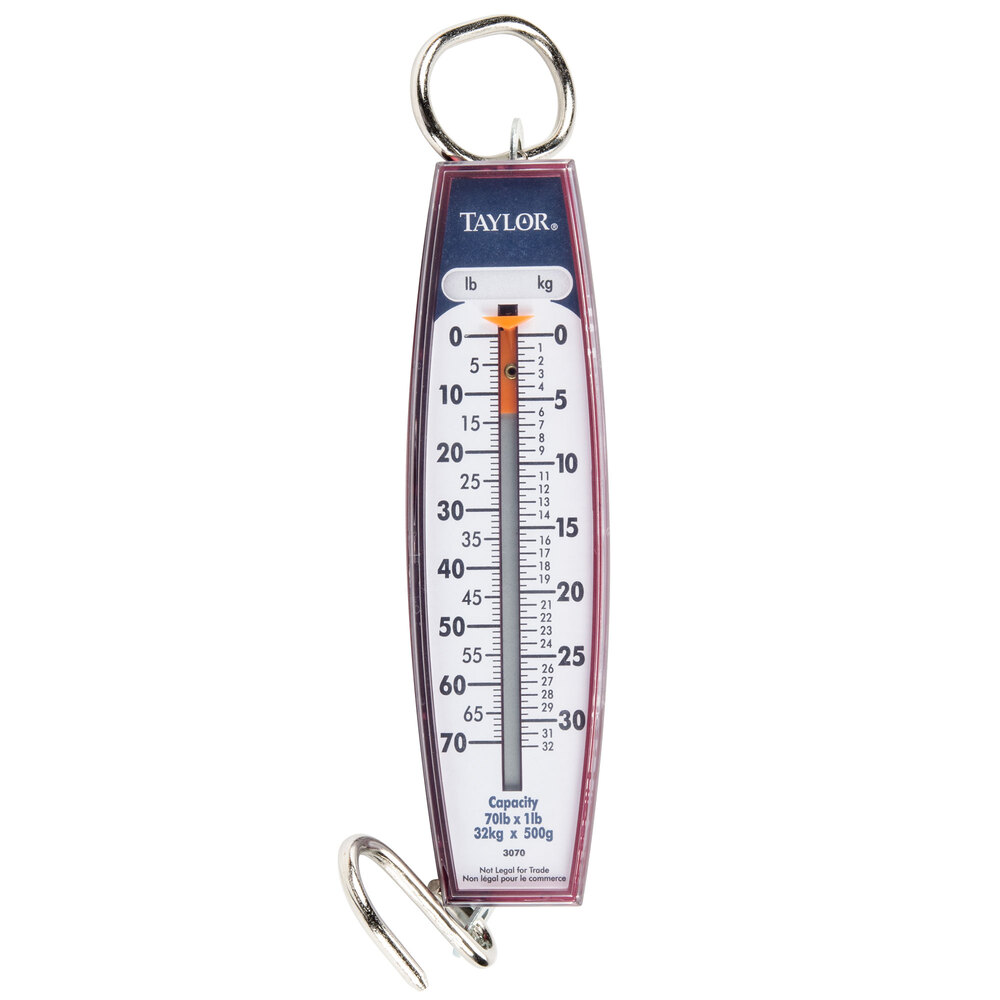 Taylor 3070 Industrial Hanging Spring Scale 70 lb. x 1 lb.