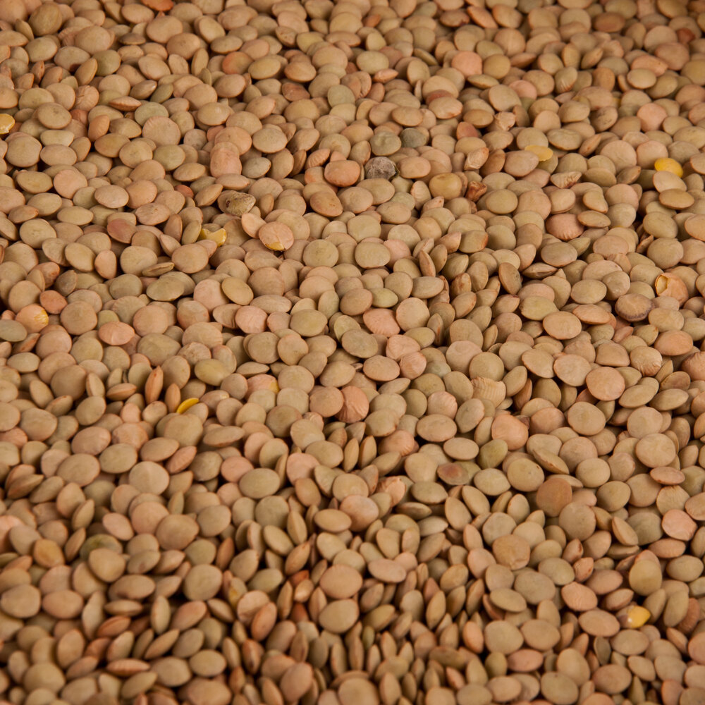 Dried Lentil Beans 20 Lb   156557 