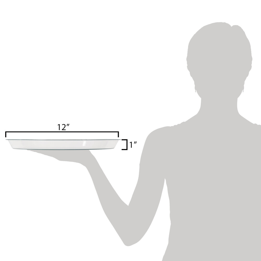 Clear 12" Sample Shallow Tray