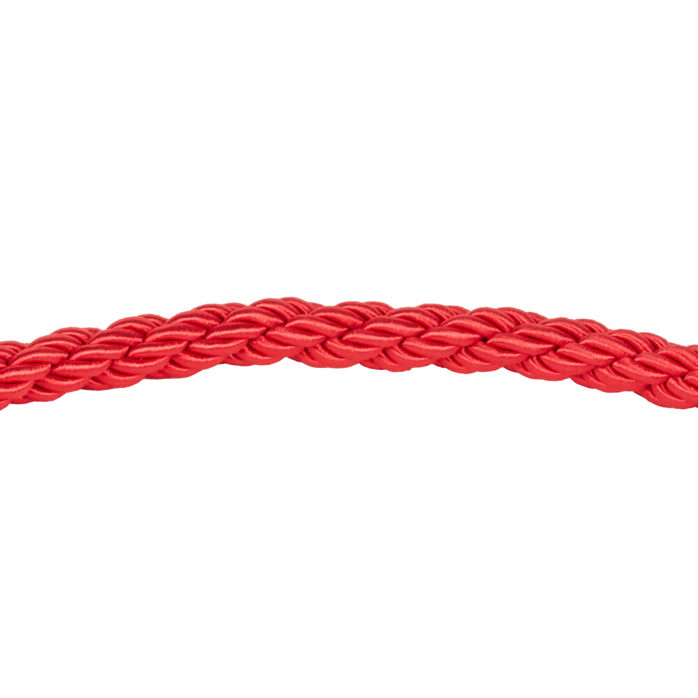 Red 5' Stanchion Rope with Gold Ends for Rope-Style Crowd Control ...