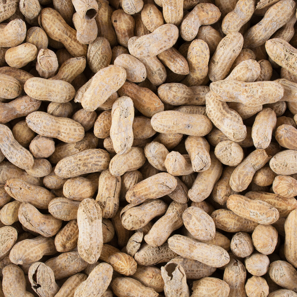 the peanut shell stuffed animals