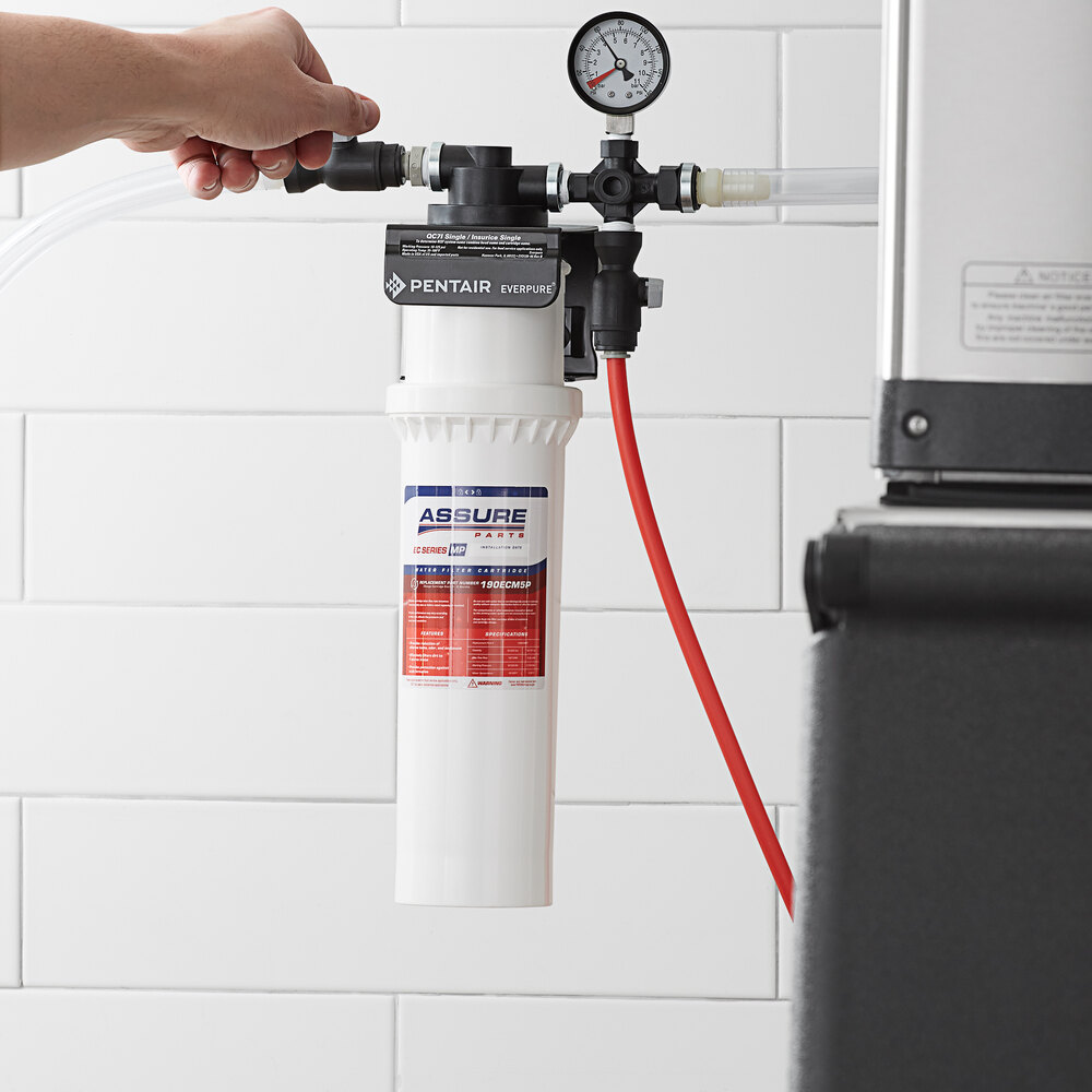 Everpure Equivalent Water Filter Replacement Cartridge (BH2, 4CB5S