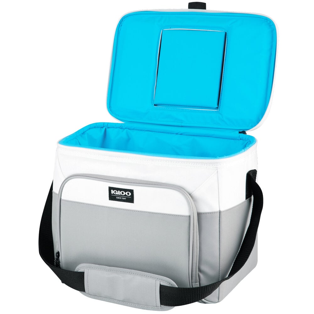 igloo insulated cooler bag