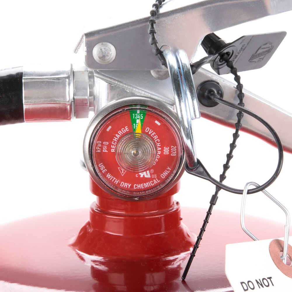 Buckeye 20 Lb. ABC Fire Extinguisher - Rechargeable Tagged - UL Rating ...